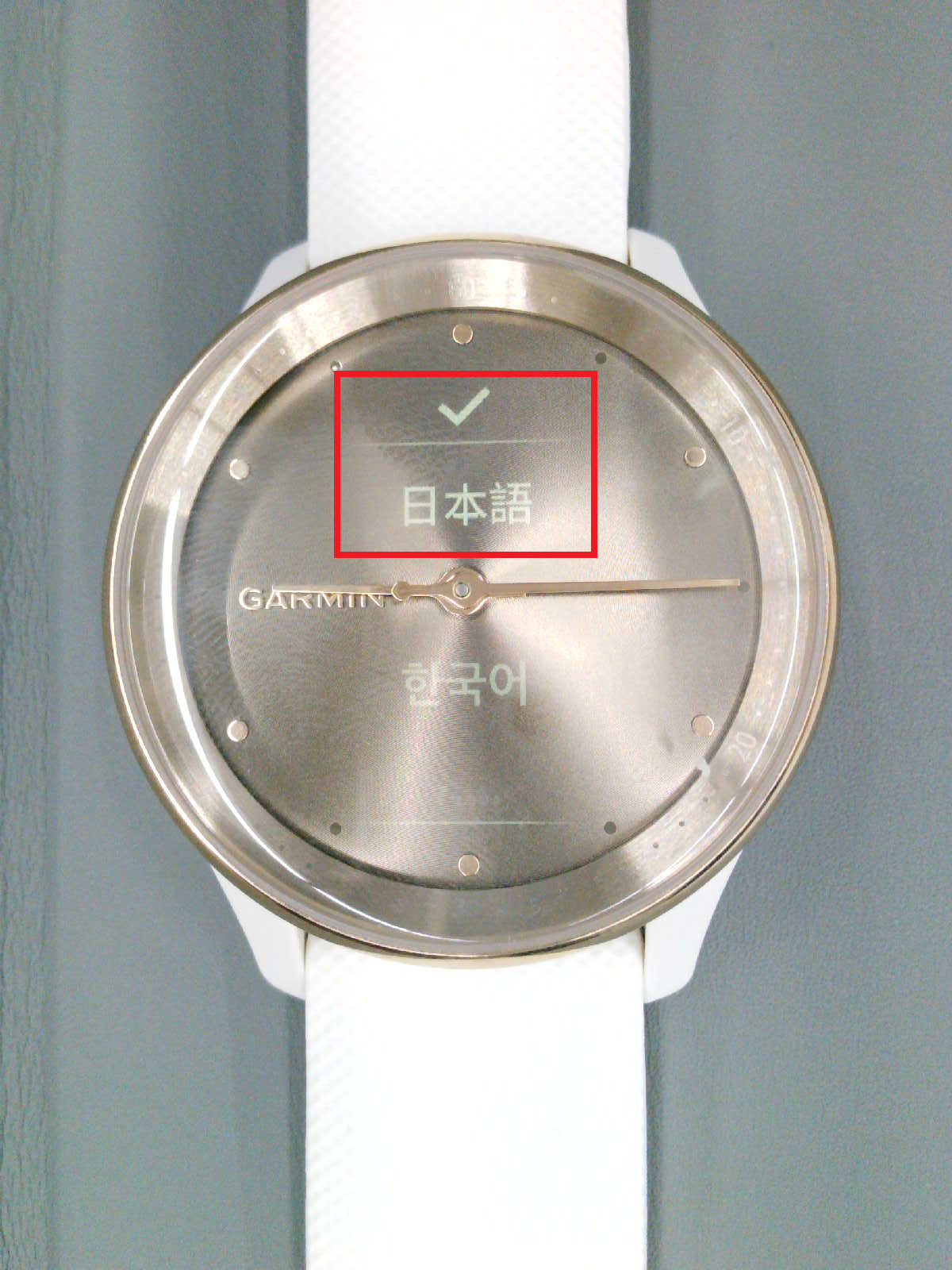 vivoti4