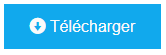 Bouton télécharger