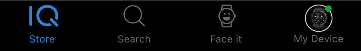 Connect IQ menu options