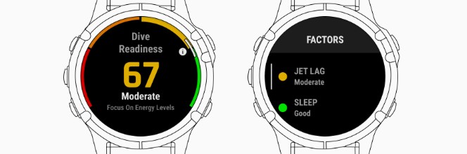 Dive Readiness widget from watch