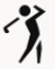 Activity Icon on Garmin Golf App