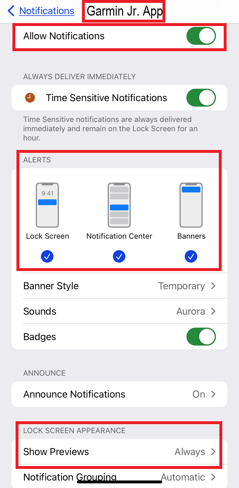 Garmin Jr App Notification Settings on iOS