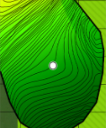 Green Contours Elevation
