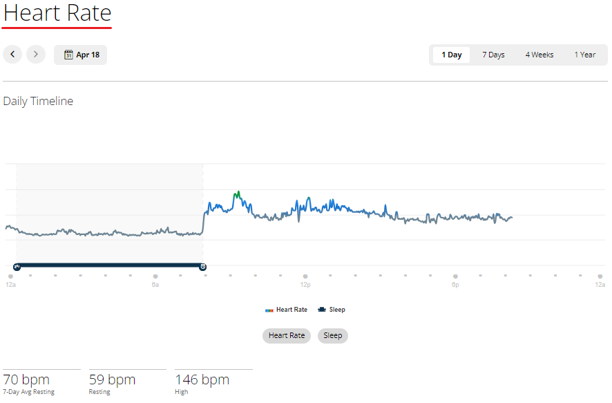 Heart Rate Details in Web Screenshot