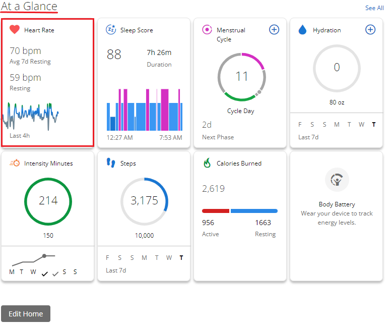 Heart Rate Web At a Glance Screenshot