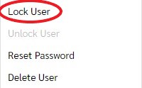 Lock User Professional 
