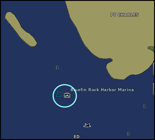 Photo Perspective View on chart