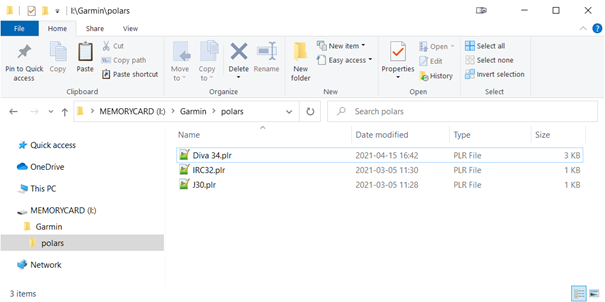 Manual import shows multiple plr files - File Explorer