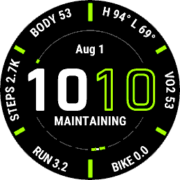 Digital Watch Face with 6 Data Fields in a Ring Around The Outside and 2 gauge fields in the middle
