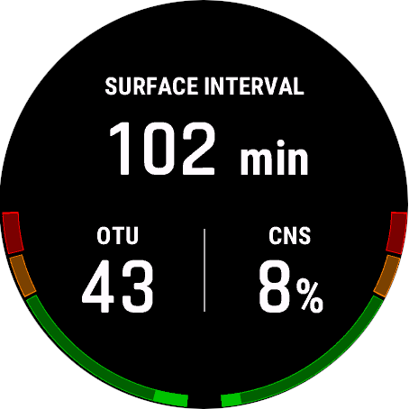 Widget screen with surface interval and data