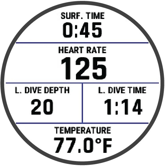 Surface Interval Data Screen
