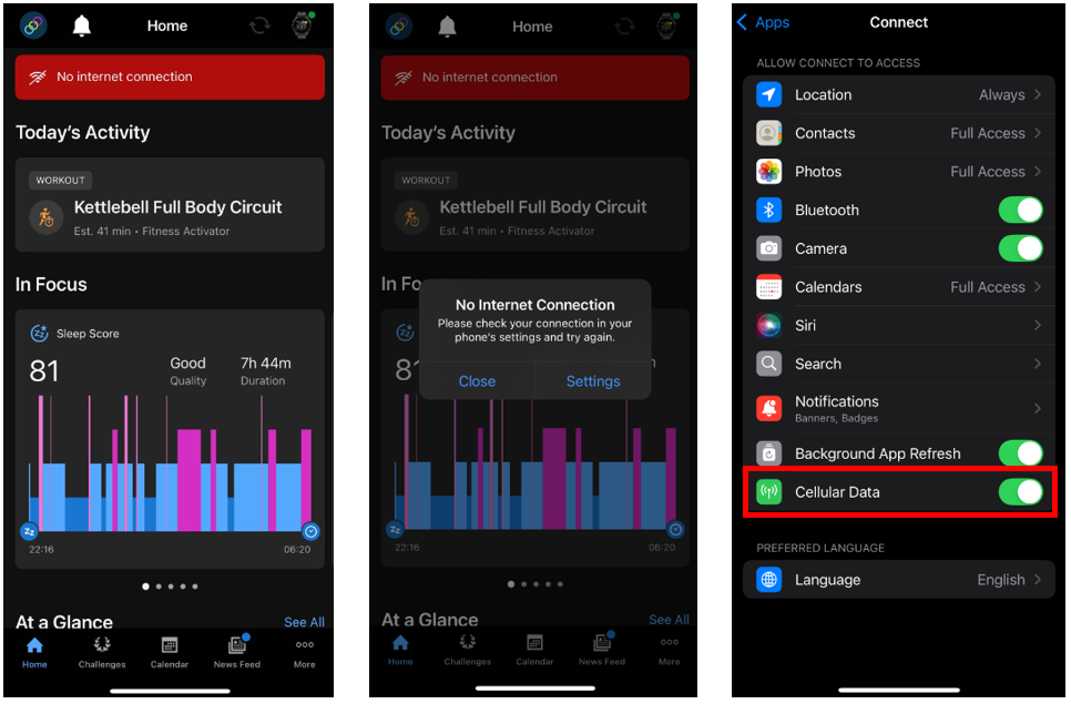 connect cellular data screenshots iOS