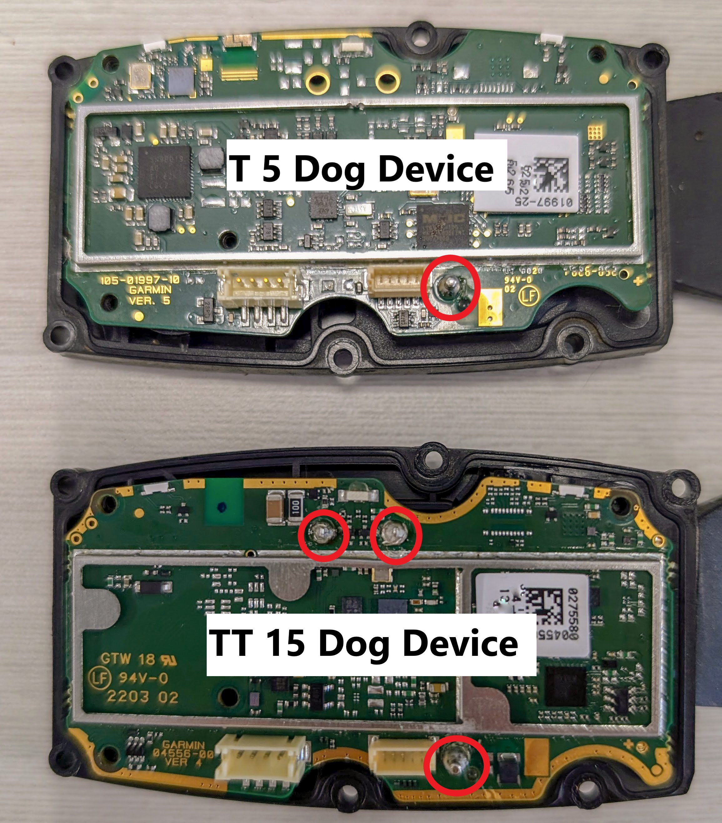dog collar image 18