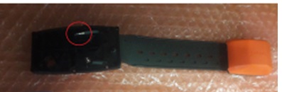 dog collar image 23