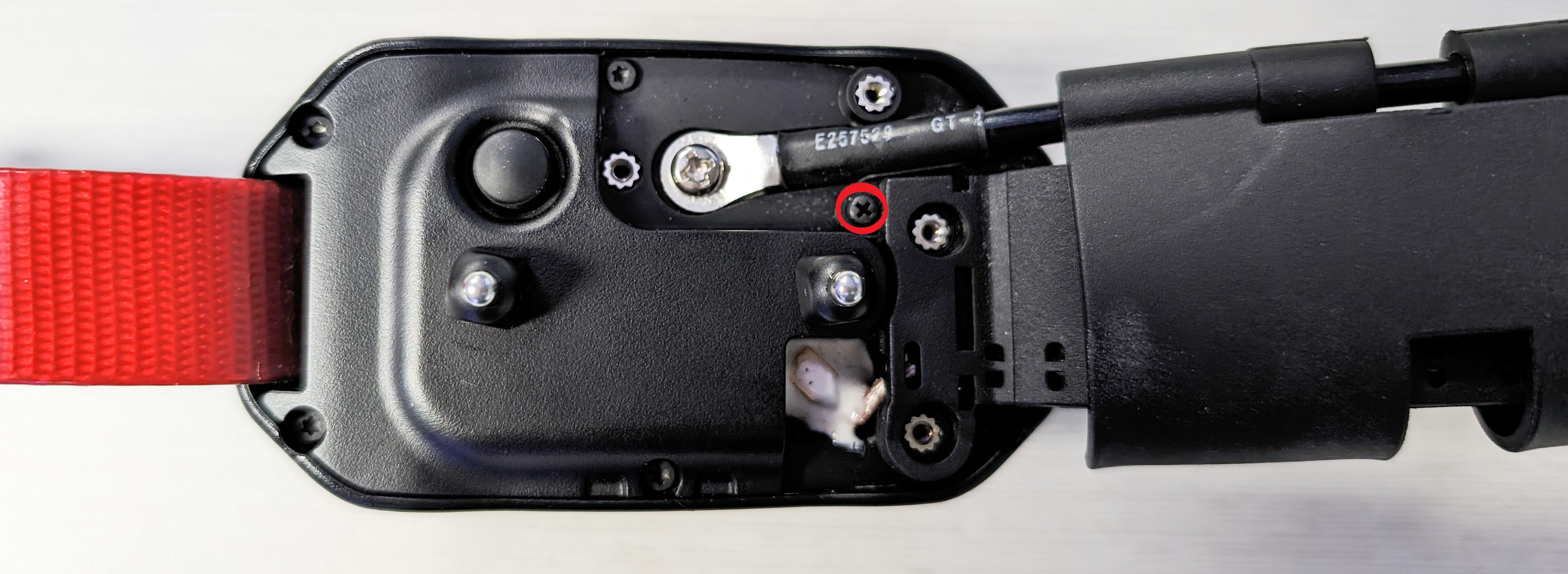 dog collar image 31