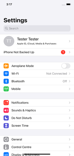 iOS Settings Screen