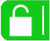 white padlock on green background