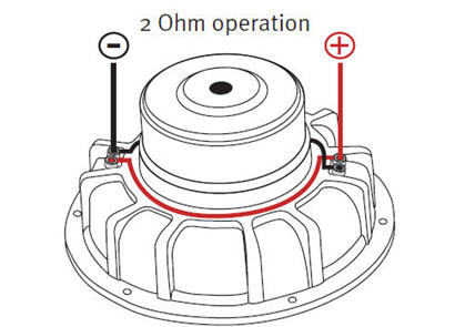 Dual voice coil store woofer