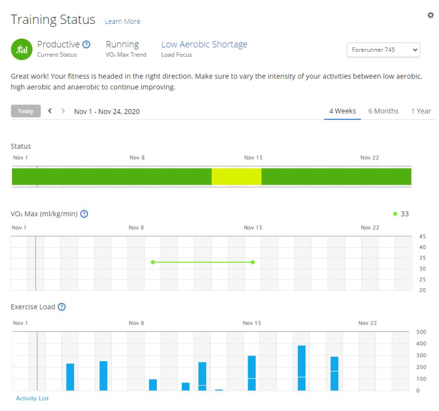 Garmin connect training online