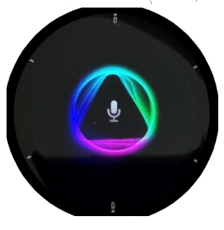 Google assistant online garmin