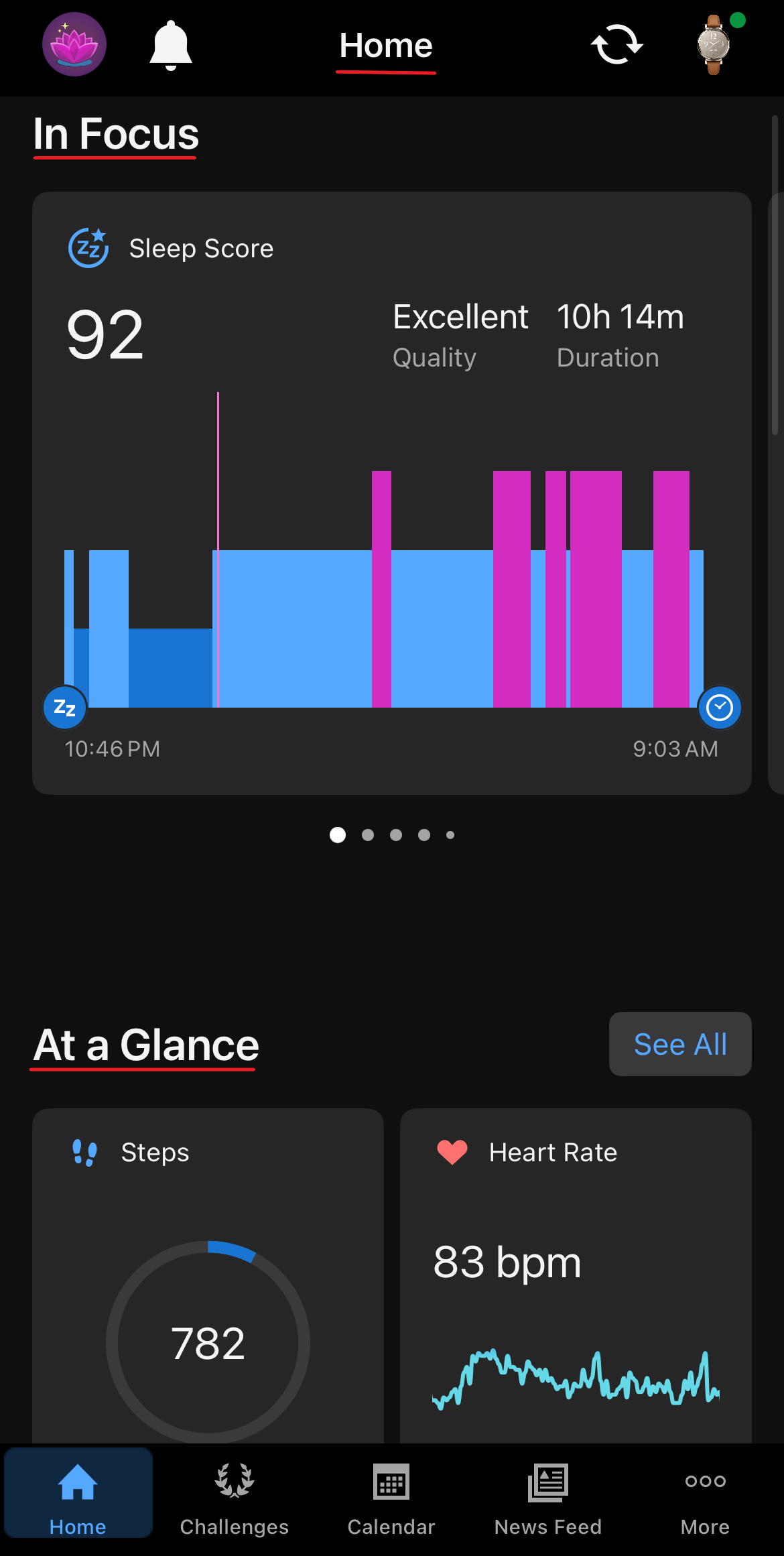 Garmin connect update watch online